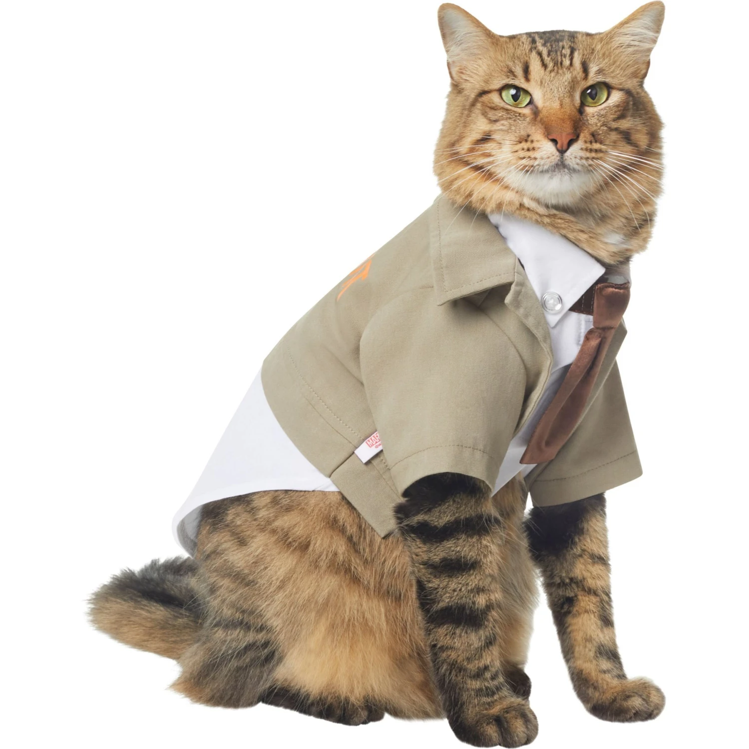 Marvel 's Loki Varient Lightweight Dog & Cat Jacket 3 Marvel 's Loki Varient Lightweight Dog & Cat Jacket - Image 3