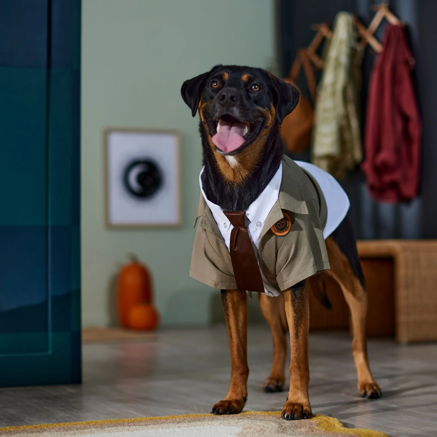 Marvel 's Loki Varient Lightweight Dog & Cat Jacket 6 Marvel 's Loki Varient Lightweight Dog & Cat Jacket - Image 6