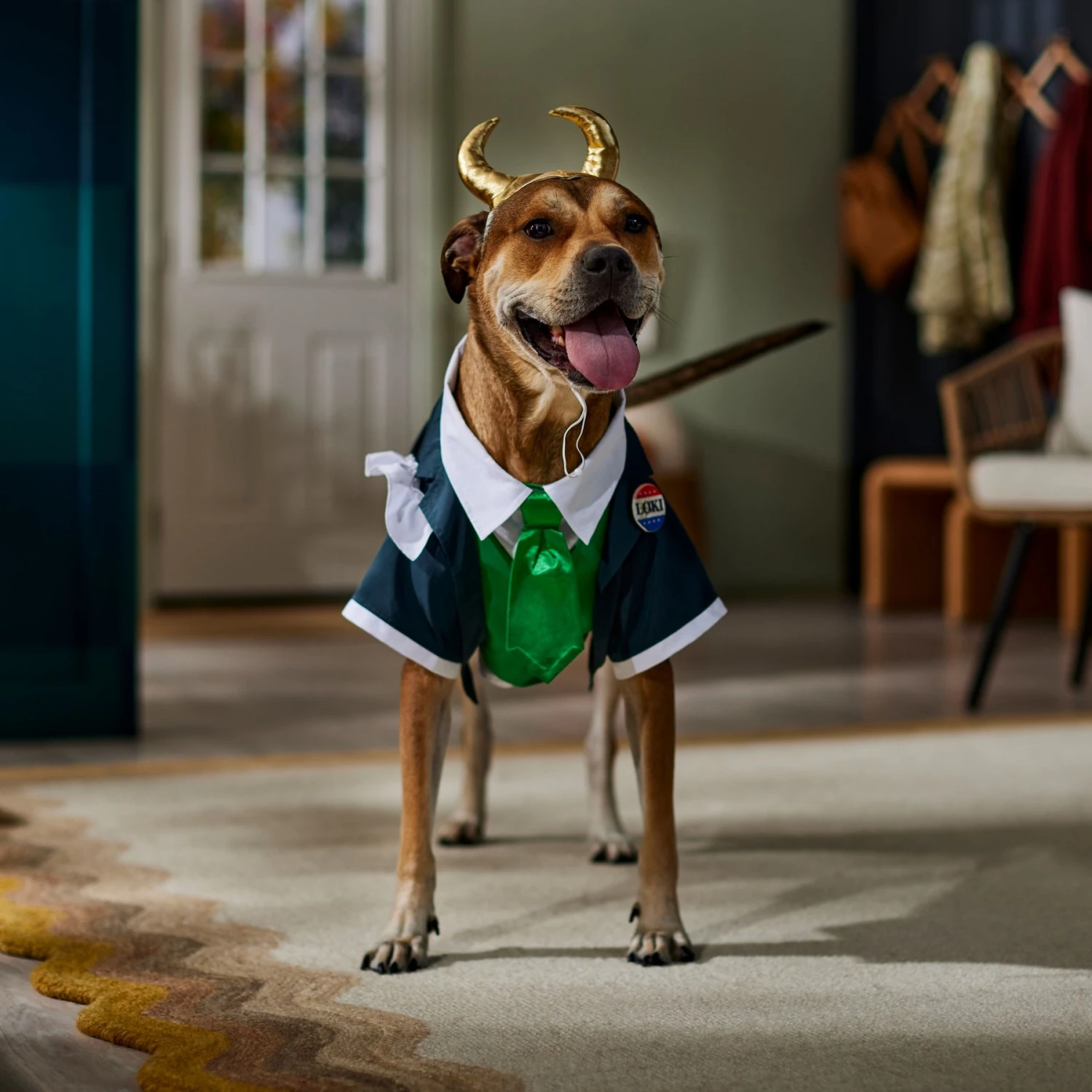 Marvel 's Loki President Dog & Cat Costume 6 Marvel 's Loki President Dog & Cat Costume - Image 6