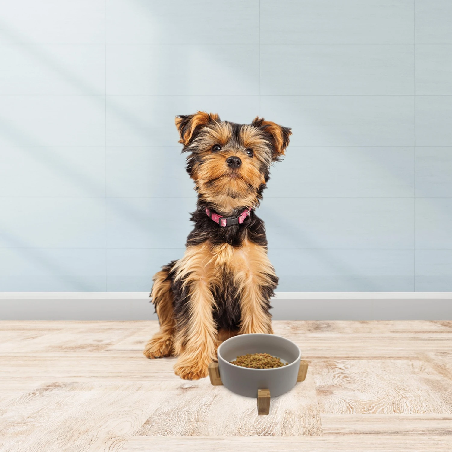 Cosmo Furbabies Single Dog & Cat Diner 6 Cosmo Furbabies Single Dog & Cat Diner - Image 6