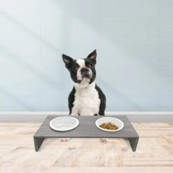 Cosmo Furbabies Double Dog & Cat Diner, Gray 11 Cosmo Furbabies Double Dog & Cat Diner, Gray -Pup Haven Sales Store 341993 PT5. AC SS1800 V1636063012