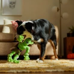 Frisco Halloween Goblin Plush With Rope Squeaky Dog Toy 7 Frisco Halloween Goblin Plush With Rope Squeaky Dog Toy -Pup Haven Sales Store 344132 PT3. AC SS1800 V1657657042