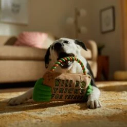 Frisco Halloween "Will Do Tricks For Treats" Sign Plush With Rope Squeaky Dog Toy 9 Frisco Halloween "Will Do Tricks For Treats" Sign Plush With Rope Squeaky Dog Toy -Pup Haven Sales Store 344172 PT3. AC SS1800 V1657657049