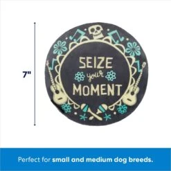 Pixar Halloween Coco Round Plush Squeaky Dog Toy 5 Pixar Halloween Coco Round Plush Squeaky Dog Toy -Pup Haven Sales Store 344489 PT1. AC SS1800 V1689877963