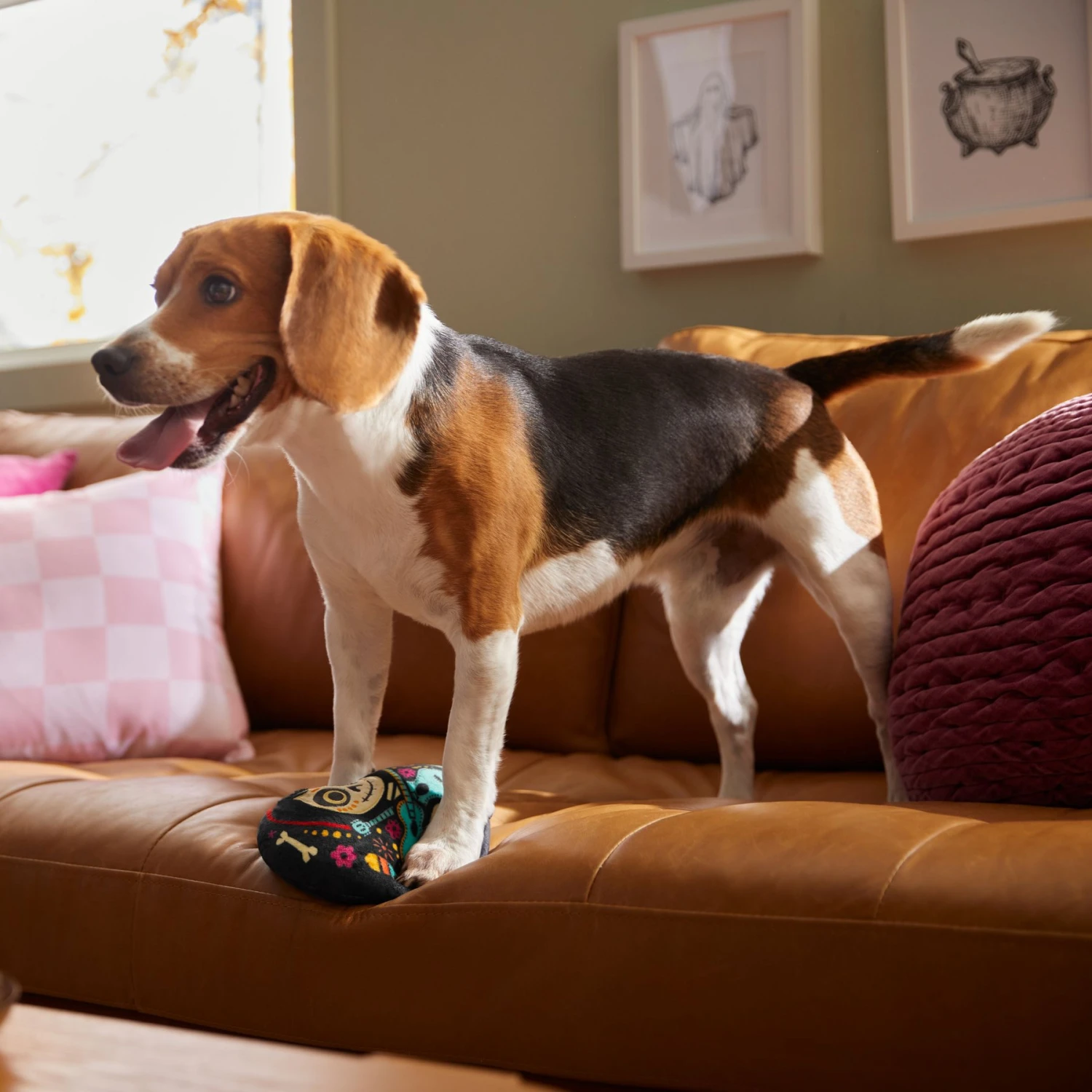 Pixar Halloween Coco Round Plush Squeaky Dog Toy 3 Pixar Halloween Coco Round Plush Squeaky Dog Toy - Image 3