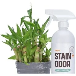 Litterbox.com Stain + Odor Bamboo Mint Spray, 24-oz Bottle -Pup Haven Sales Store 344893 PT2. AC SS1800 V1635798187