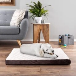Pet Adobe Bamboo Charcoal-Infused Foam Covered Dog Bed 13 Pet Adobe Bamboo Charcoal-Infused Foam Covered Dog Bed -Pup Haven Sales Store 344923 PT5. AC SS1800 V1637280823