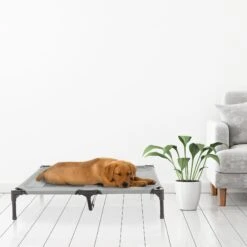 Pet Adobe Cot-Style Elevated Pet Bed -Pup Haven Sales Store 344932 PT6. AC SS1800 V1637285803