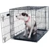 Pet Adobe 2-Door Medium Foldable Dog Crate