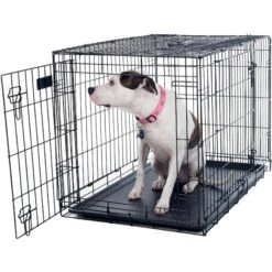 Pet Adobe 2-Door Medium Foldable Dog Crate