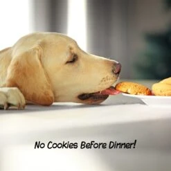 Pet Adobe Freestanding 3-Panel Wood Dog Gate 12 Pet Adobe Freestanding 3-Panel Wood Dog Gate -Pup Haven Sales Store 345106 PT4. AC SS1800 V1637286719