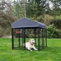 Lucky Dog STAY Series Studio Jr. Dog Kennel