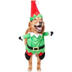 Frisco Front Walking Elf Dog & Cat Costume -Pup Haven Sales Store 357956 PT3. AC SS1800 V1660760416