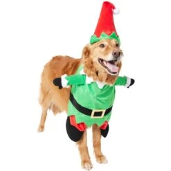 Frisco Front Walking Elf Dog & Cat Costume -Pup Haven Sales Store 357956 PT4. AC SS1800 V1660757458
