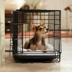 Frisco Adjustable Electrical Dog & Cat Heated Crate Mat With Timer 12 Frisco Adjustable Electrical Dog & Cat Heated Crate Mat With Timer -Pup Haven Sales Store 358546 PT5. AC SS1800 V1662500981