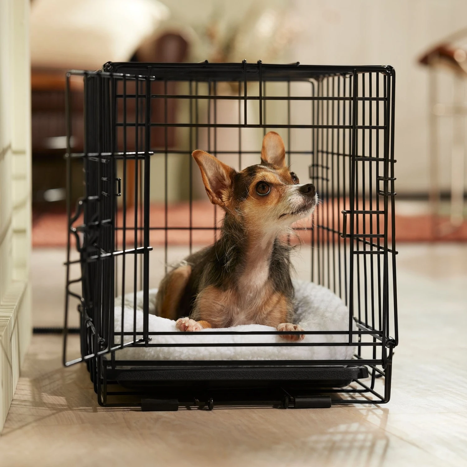 Frisco Adjustable Electrical Dog & Cat Heated Crate Mat With Timer 6 Frisco Adjustable Electrical Dog & Cat Heated Crate Mat With Timer - Image 6