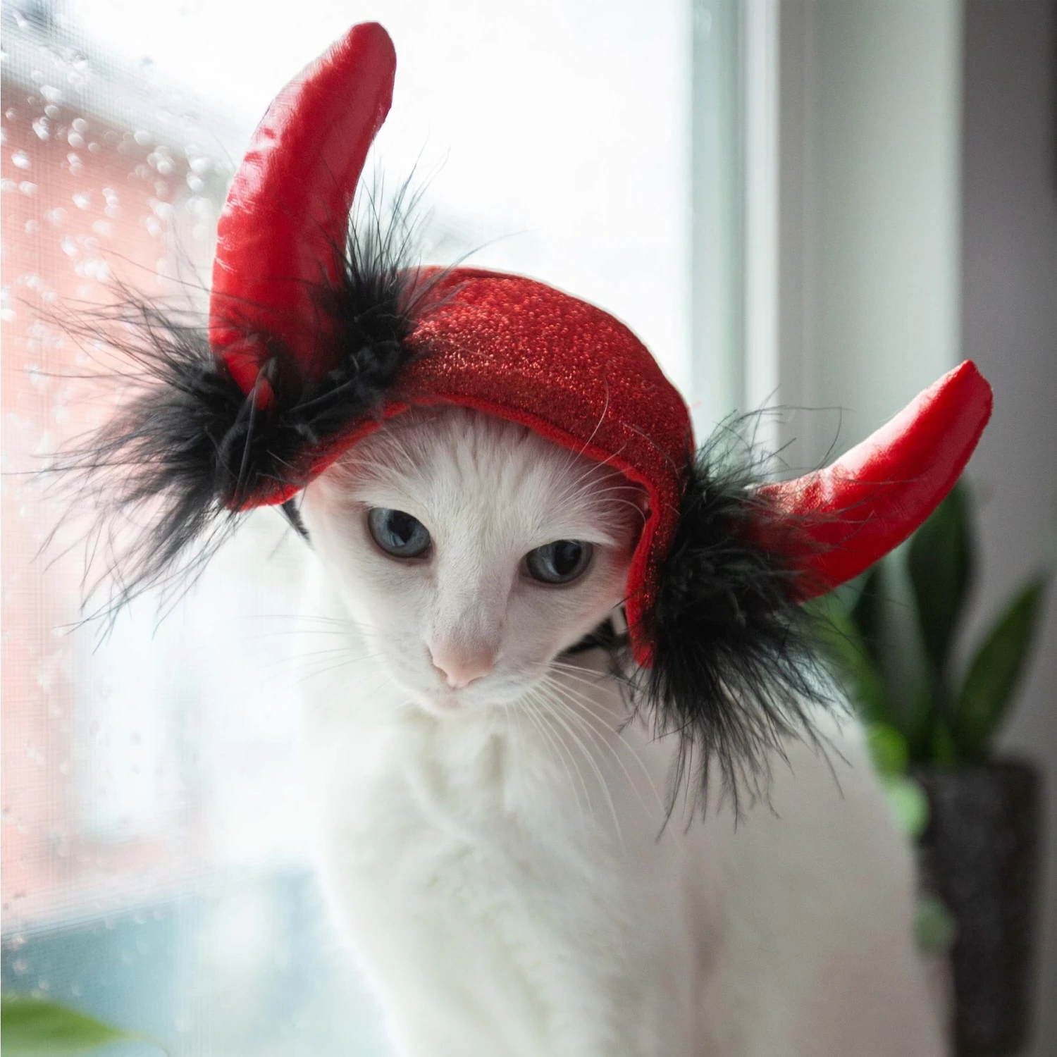 Pet Krewe Cat Devil Red Hat Dog Costume, One Size 7 Pet Krewe Cat Devil Red Hat Dog Costume, One Size - Image 7