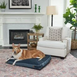 Bark And Slumber Rectangular Lounger Pillow Dog Bed With Removable Cover -Pup Haven Sales Store 361297 PT2. AC SS1800 V1646842637
