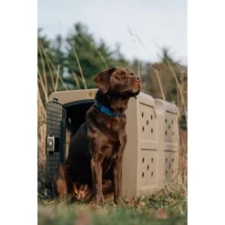 Dakota 283 G3 Framed Door Dog Kennel 6 Dakota 283 G3 Framed Door Dog Kennel -Pup Haven Sales Store 361542 PT3. AC SS1800 V1652768192