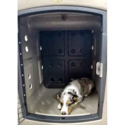Dakota 283 Forever Insert Dakota Guard Antimicrobial Dog Kennel Divider 9 Dakota 283 Forever Insert Dakota Guard Antimicrobial Dog Kennel Divider -Pup Haven Sales Store 361576 PT4. AC SS1800 V1679679327