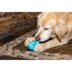 Hugglehounds Okko Tuffut-Flex Ball Dog Toy, Blue 16 Hugglehounds Okko Tuffut-Flex Ball Dog Toy, Blue -Pup Haven Sales Store 362021 PT7. AC SS1800 V1644022995