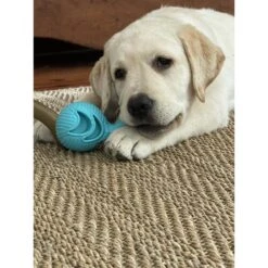 Hugglehounds Okko Tuffut-Flex Ball Dog Toy, Blue 17 Hugglehounds Okko Tuffut-Flex Ball Dog Toy, Blue -Pup Haven Sales Store 362021 PT8. AC SS1800 V1644015169