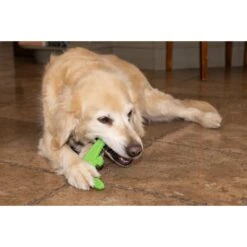Hugglehounds LeLe Tuffut-Flex Flyer Dog Toy, Green -Pup Haven Sales Store 362026 PT7. AC SS1800 V1644018113