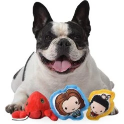 Fetch For Pets Friends V-Day "You're My Lobster" Squeaky Dog Toy, 3 Count -Pup Haven Sales Store 362987 PT3. AC SS1800 V1643061841