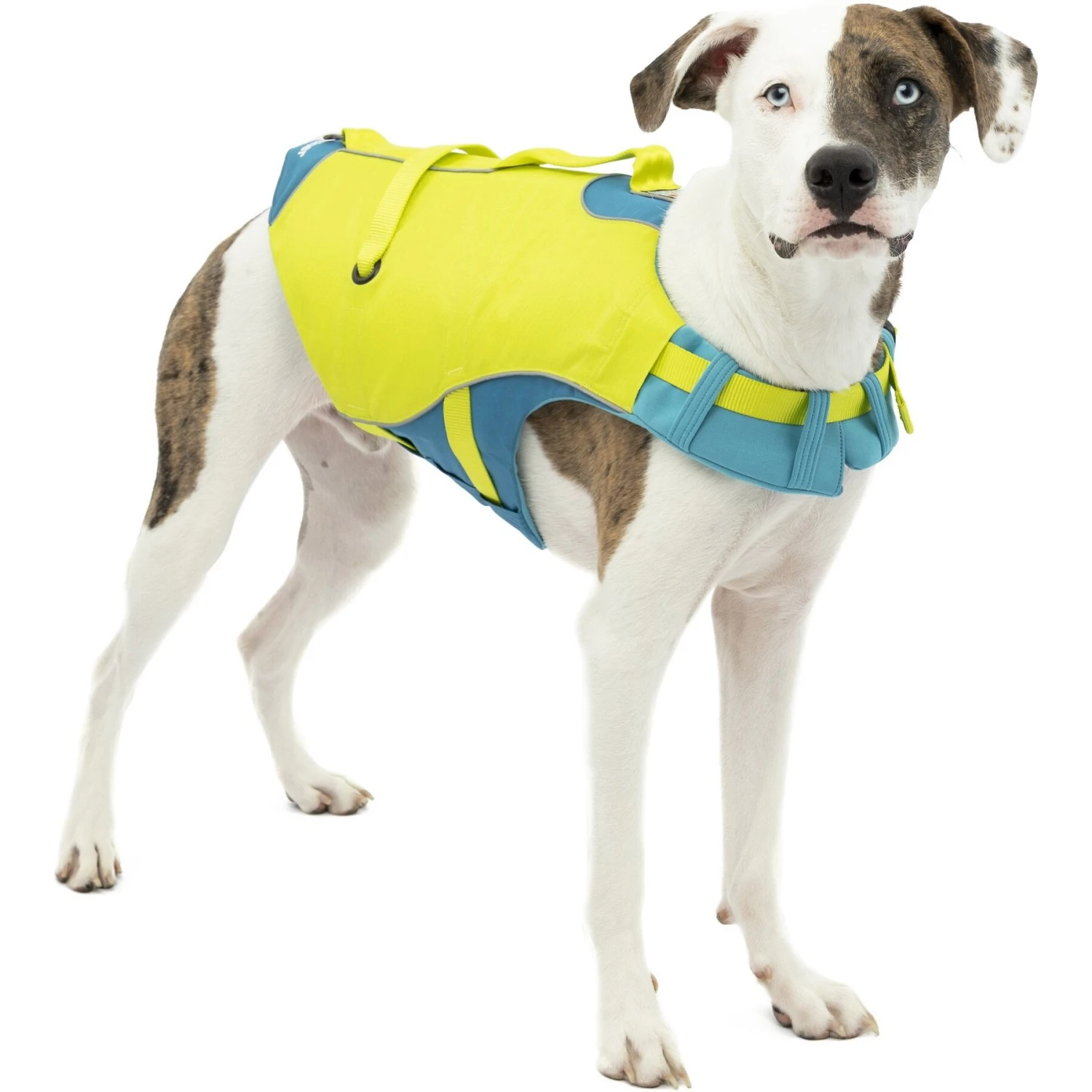 Kurgo Surf-n-Turf Dog Life Jacket 1 Kurgo Surf-n-Turf Dog Life Jacket
