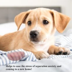 Pet Fit For Life Calming Dog Heartbeat Unit, Red, Small -Pup Haven Sales Store 363335 PT4. AC SS1800 V1642776090