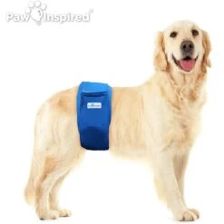 Paw Inspired Belly Band Male Washable Wrap Dog Diaper 10 Paw Inspired Belly Band Male Washable Wrap Dog Diaper -Pup Haven Sales Store 364119 PT3. AC SS1800 V1643819814