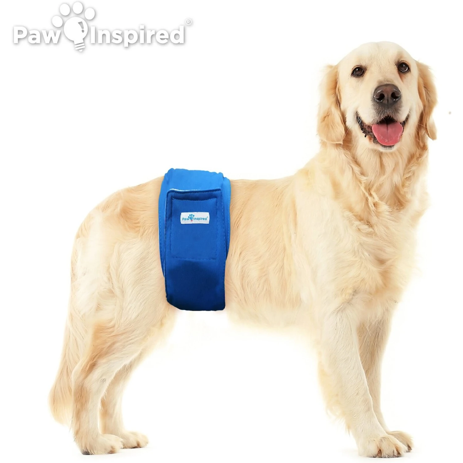 Paw Inspired Belly Band Male Washable Wrap Dog Diaper 4 Paw Inspired Belly Band Male Washable Wrap Dog Diaper - Image 4