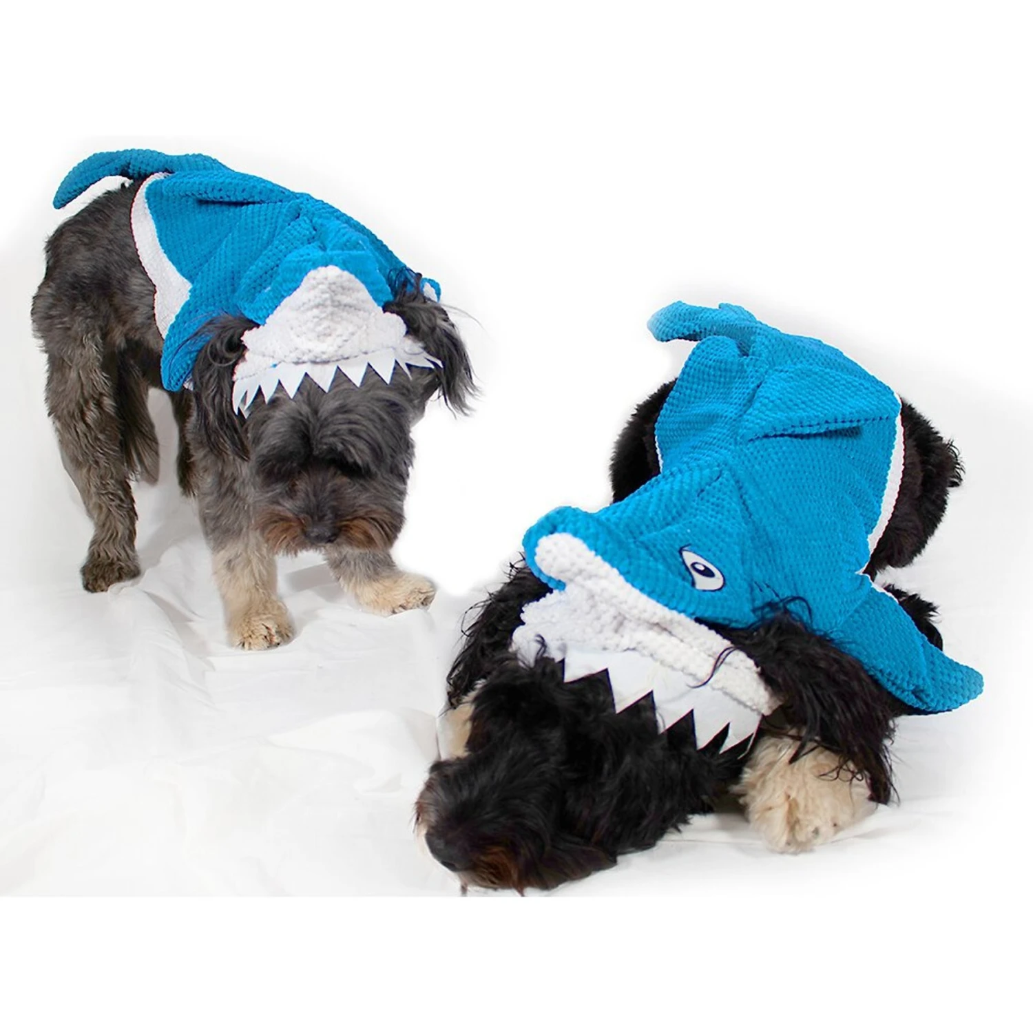 Royal Animals Shark Dog Costume 3 Royal Animals Shark Dog Costume - Image 3