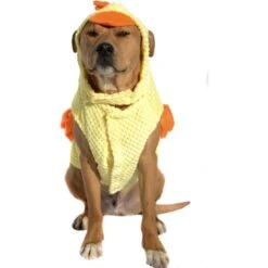 Royal Animals Chicken Dog Costume 6 Royal Animals Chicken Dog Costume -Pup Haven Sales Store 364474 PT2. AC SS1800 V1645643794