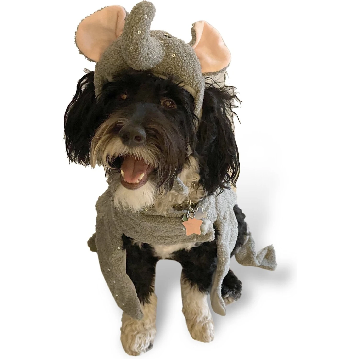 Royal Animals Elephant Dog Costume 4 Royal Animals Elephant Dog Costume - Image 4