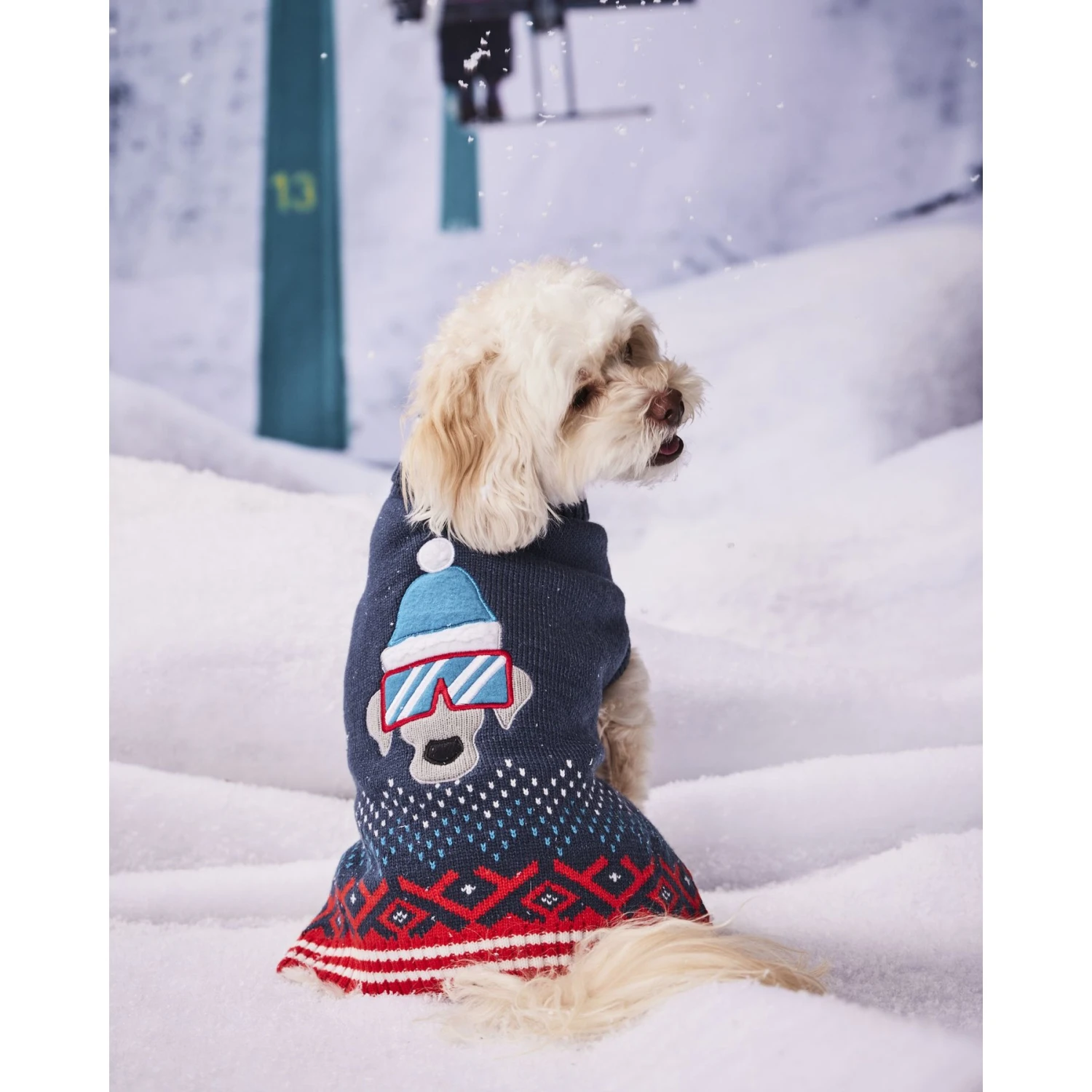Hotel Doggy Dog Sweater 1 Hotel Doggy Dog Sweater