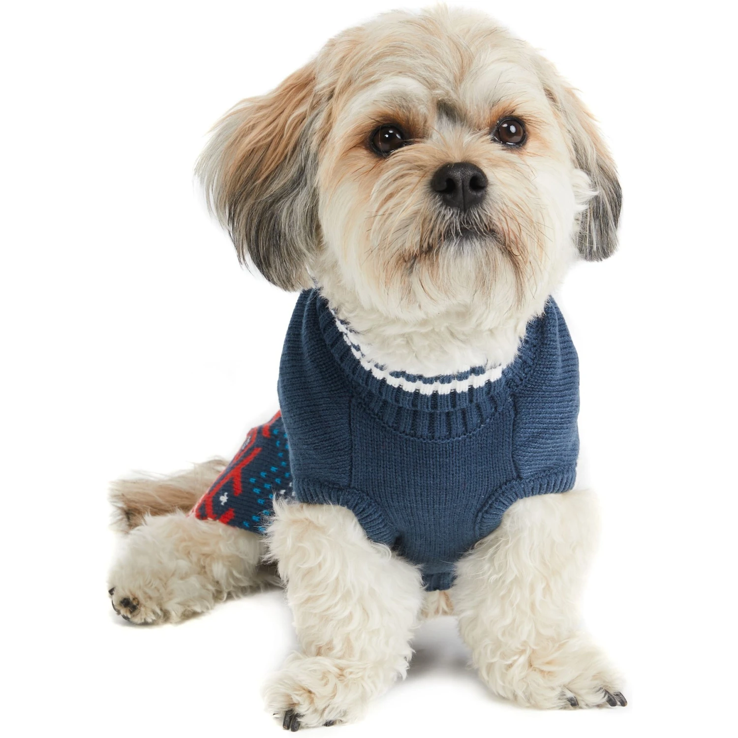 Hotel Doggy Dog Sweater 4 Hotel Doggy Dog Sweater - Image 4