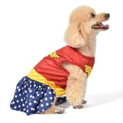 Fetch For Pets DC Comics Wonderwoman Halloween Dog Costume