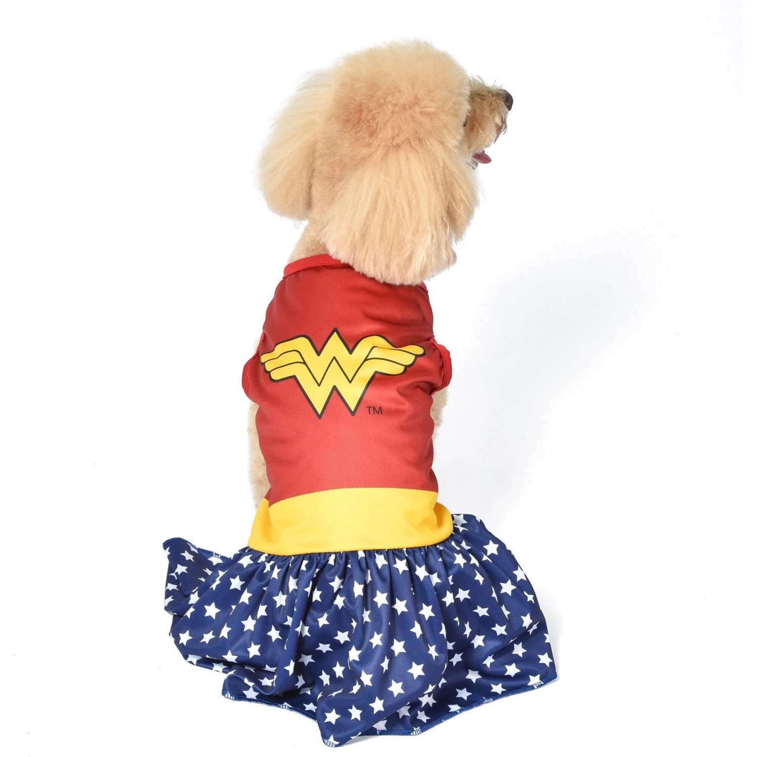 Fetch For Pets DC Comics Wonderwoman Halloween Dog Costume 3 Fetch For Pets DC Comics Wonderwoman Halloween Dog Costume - Image 3