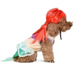 Fetch For Pets Disney Halloween Princess Ariel Dog Costume