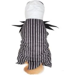 Fetch For Pets Disney Halloween Nightmare Before Christmas Jack Skellington Dog Costume 7 Fetch For Pets Disney Halloween Nightmare Before Christmas Jack Skellington Dog Costume -Pup Haven Sales Store 364742 PT2. AC SS1800 V1659807504
