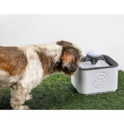 PawPerfect Cat & Dog Water Fountain, White 9 PawPerfect Cat & Dog Water Fountain, White -Pup Haven Sales Store 365301 PT3. AC SS1800 V1644875801