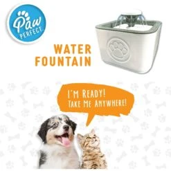 PawPerfect Cat & Dog Water Fountain, White 11 PawPerfect Cat & Dog Water Fountain, White -Pup Haven Sales Store 365301 PT8. AC SS1800 V1643927833
