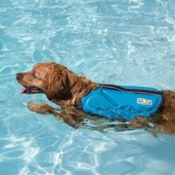 Outward Hound Dawson Swim Dog Life Jacket 11 Outward Hound Dawson Swim Dog Life Jacket -Pup Haven Sales Store 367143 PT5. AC SS1800 V1645229790