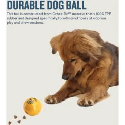 Planet Dog Orbee-Tuff Essentials Vanilla Scented Interactive Dog Ball Treat Dispenser Toy, Yellow -Pup Haven Sales Store 367765 PT4. AC SS1800 V1644525693