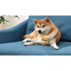 Fetch For Pets Harry Potter House Sorting Hat Burrow Dog Toy 17 Fetch For Pets Harry Potter House Sorting Hat Burrow Dog Toy -Pup Haven Sales Store 367779 PT8. AC SS1800 V1645225899