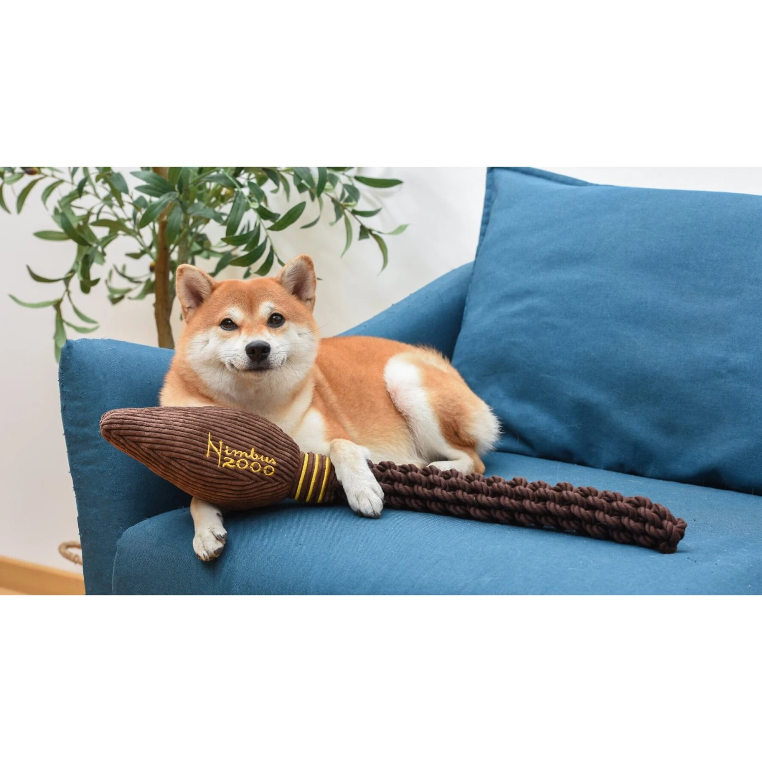 Fetch For Pets Harry Potter Nimbus 2000 Rope Dog Toy 4 Fetch For Pets Harry Potter Nimbus 2000 Rope Dog Toy - Image 4