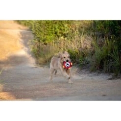 Fetch For Pets Harry Potter 9 3/4 Platform Frisbee Dog Toy -Pup Haven Sales Store 367785 PT3. AC SS1800 V1645221773