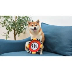 Fetch For Pets Harry Potter 9 3/4 Platform Frisbee Dog Toy -Pup Haven Sales Store 367785 PT4. AC SS1800 V1645226233