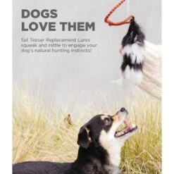 Outward Hound Fox Tail Teaser Wand Dog Toy Replacement Lure -Pup Haven Sales Store 368180 PT2. AC SS1800 V1644530576